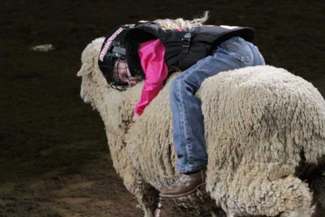 San Antonio Stock Show & Rodeo - FEBRUARY